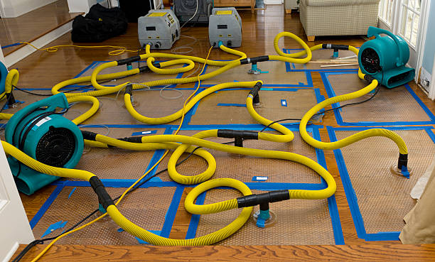 Professional Water Damage Restoration technician working in Blue Point, NY